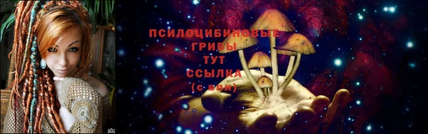 индика Няндома
