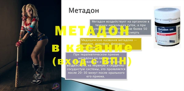 индика Няндома
