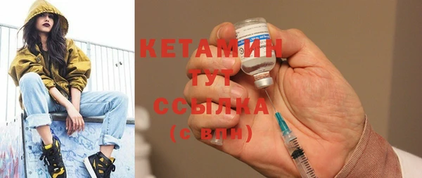 индика Няндома