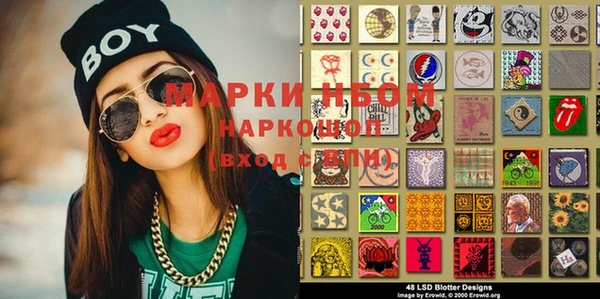индика Няндома