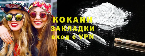 индика Няндома
