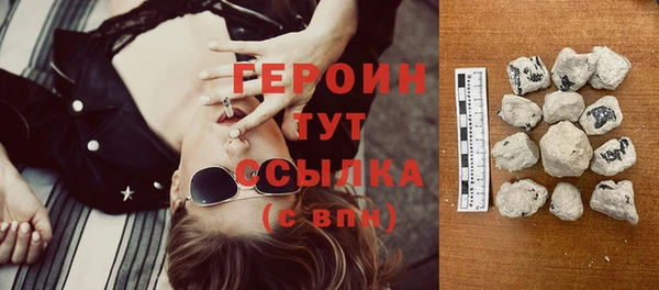 индика Няндома