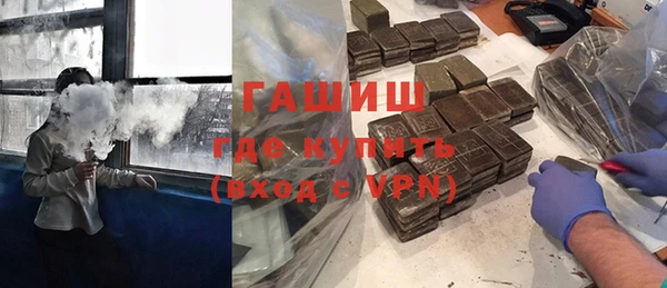 индика Няндома