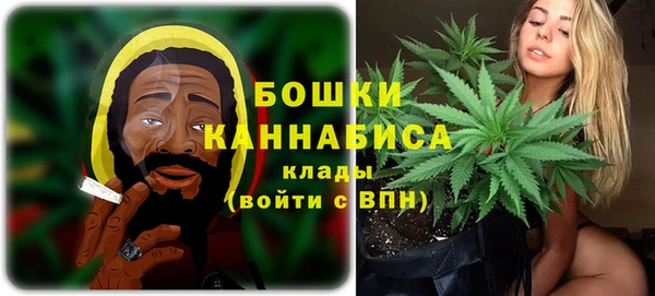 mdma Новодвинск