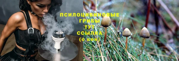 первитин Нягань